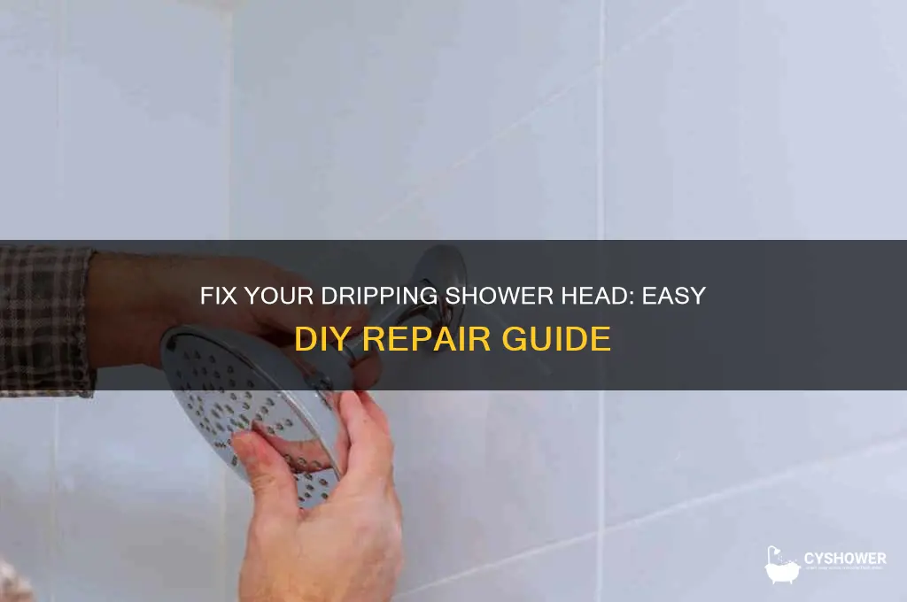 how to repair a dripping shower head