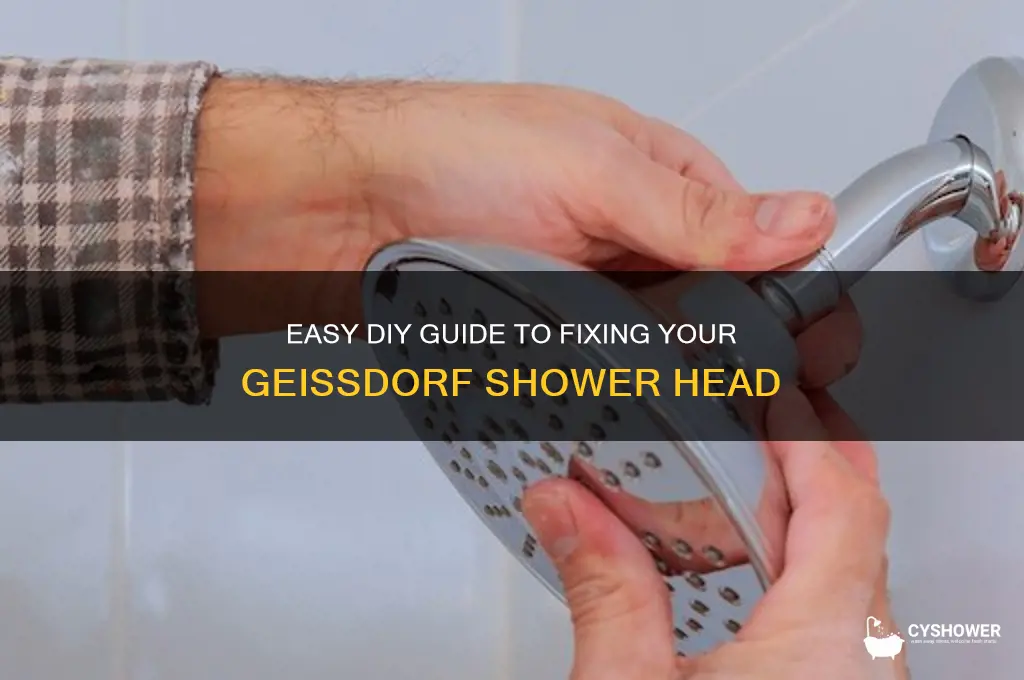 how to repair a geissdorf shower head