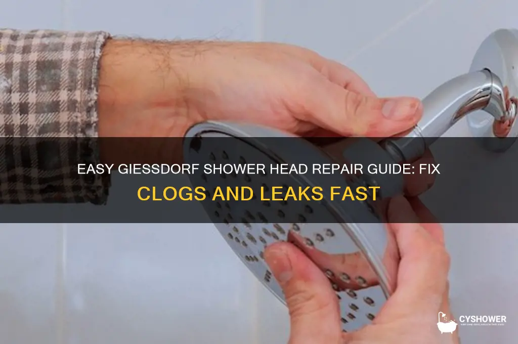 how to repair a giessdorf shower head