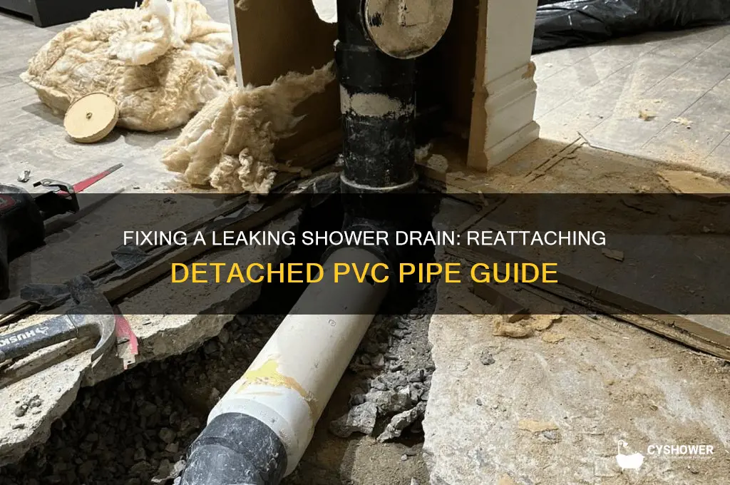 how to repair a leaking shower drain detached pvc pipe