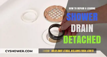 Fixing a Detached Leaking Shower Drain: Step-by-Step Repair Guide