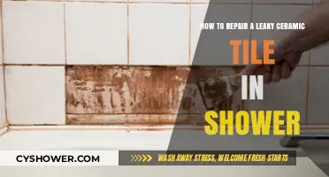 Fixing Shower Tile Leaks: A Step-by-Step Ceramic Repair Guide