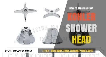 Fixing a Leaky Kohler Shower Head: Step-by-Step Repair Guide