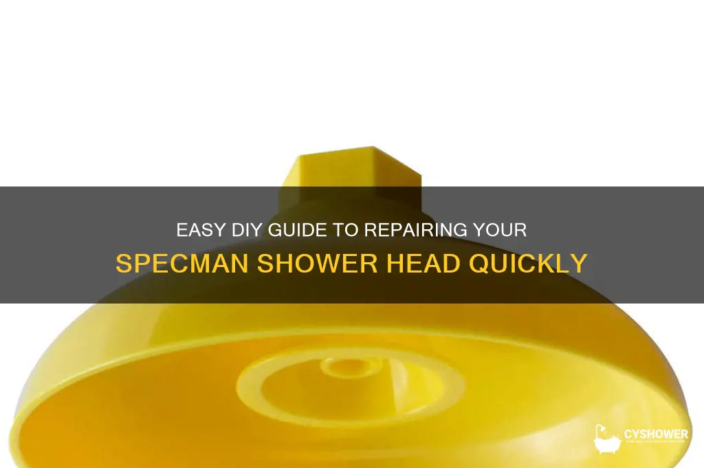 how to repair a specman shower head