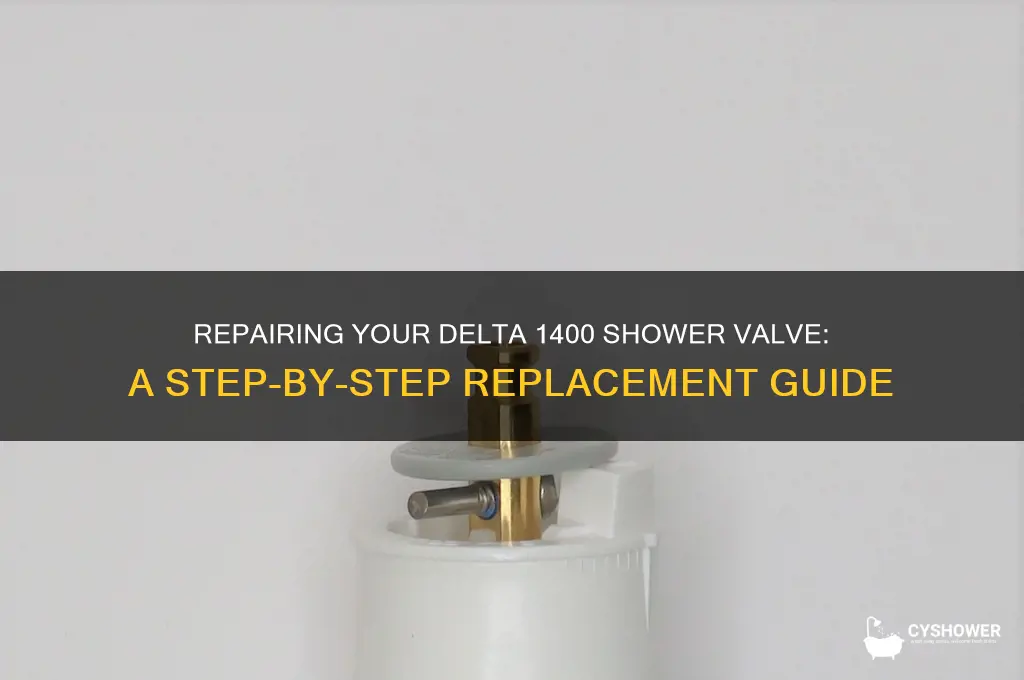 how to repair delta 1400 shower valve replacement