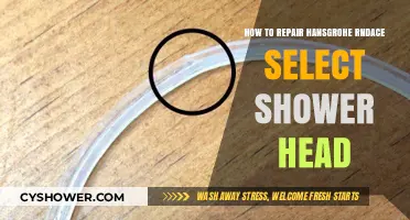 Fix Your Hansgrohe Raindance Select Shower Head: Easy Repair Guide
