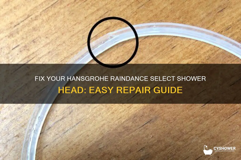 how to repair hansgrohe rndace select shower head