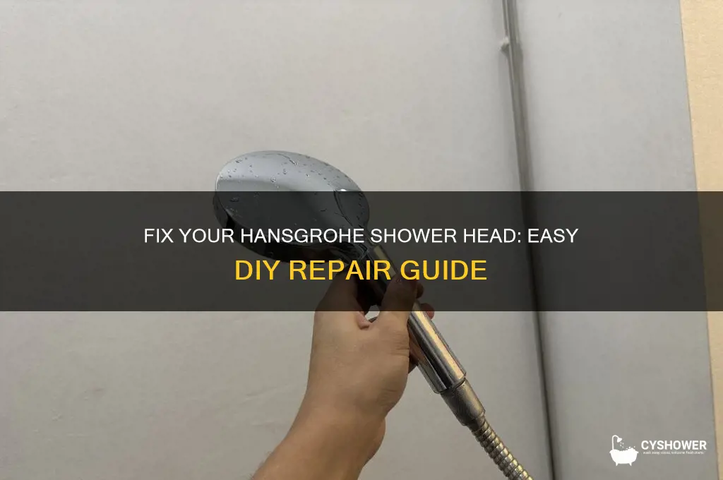 how to repair hansgrohe shower head