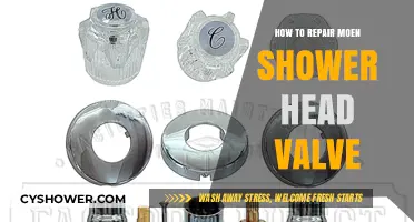 Fix Your Moen Shower Head Valve: A Step-by-Step Repair Guide