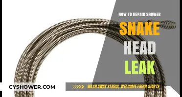 Fixing a Leaky Shower Snake Head: A Step-by-Step Repair Guide