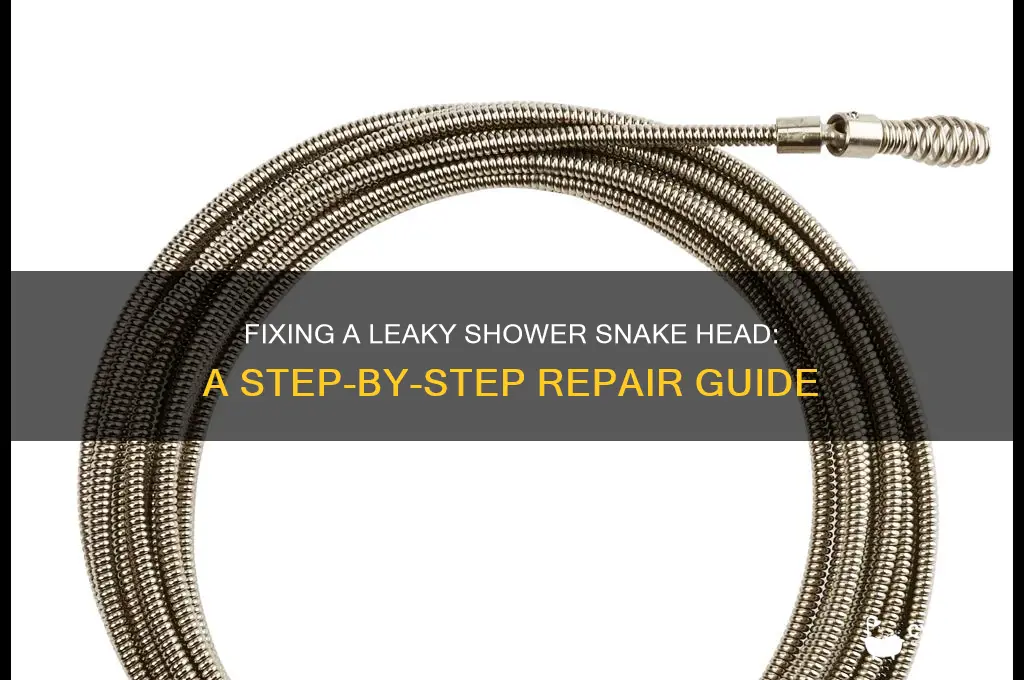how to repair shower snake head leak