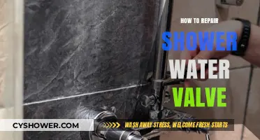 Easy DIY Guide to Repairing Your Shower Water Valve