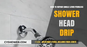 Fixing a Persistent Single Lever Peerless Shower Head Drip: A Guide