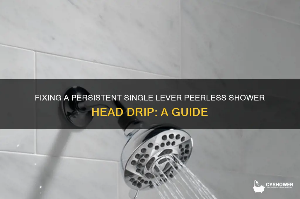 how to repair single lever perrless shower head drip