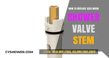 Step-by-Step Guide to Replacing a Moen 1225 Shower Valve Stem