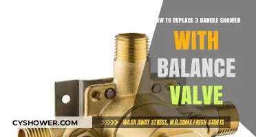 Upgrade Your Shower: Replace 3-Handle System with a Balance Valve