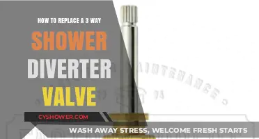 Easy DIY Guide: Replacing a 3-Way Shower Diverter Valve