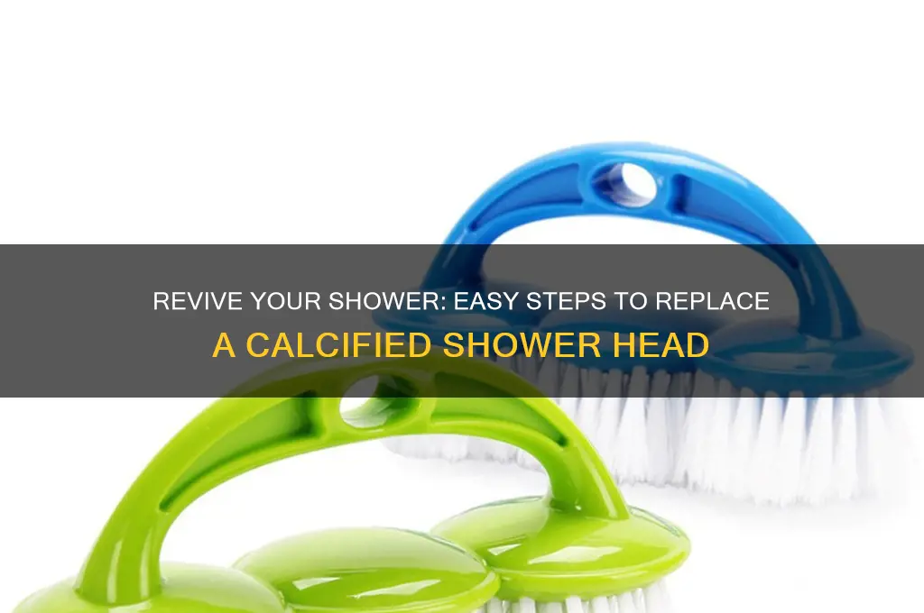 how to replace a calcified shower head