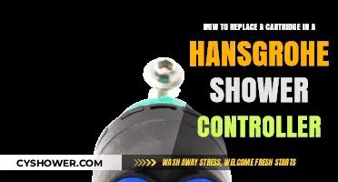 Easy Steps to Replace a Cartridge in Your Hansgrohe Shower Controller