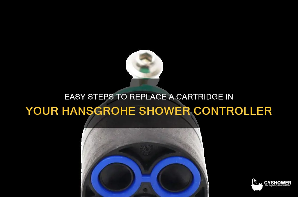 how to replace a cartridge in a hansgrohe shower controller