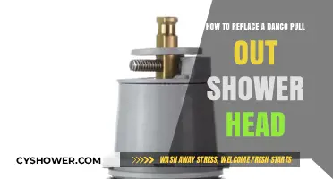 Easy DIY Guide: Replacing Your Danco Pull-Out Shower Head