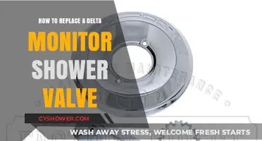 Step-by-Step Guide to Replacing Your Delta Monitor Shower Valve