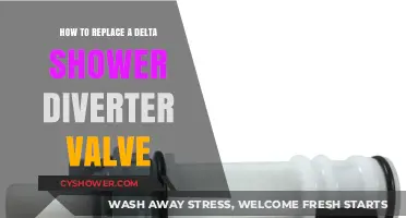 Easy DIY Guide: Replacing a Delta Shower Diverter Valve