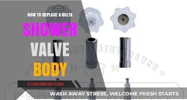 Step-by-Step Guide to Replacing a Delta Shower Valve Body