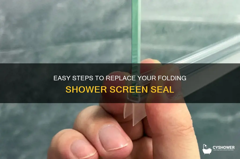 how to replace a folding shower screen seal