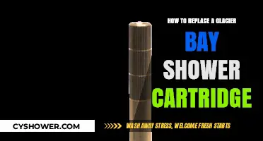 Easy DIY Guide: Replacing Your Glacier Bay Shower Cartridge