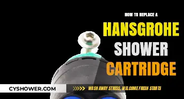 Easy Hansgrohe Shower Cartridge Replacement Guide: DIY Step-by-Step