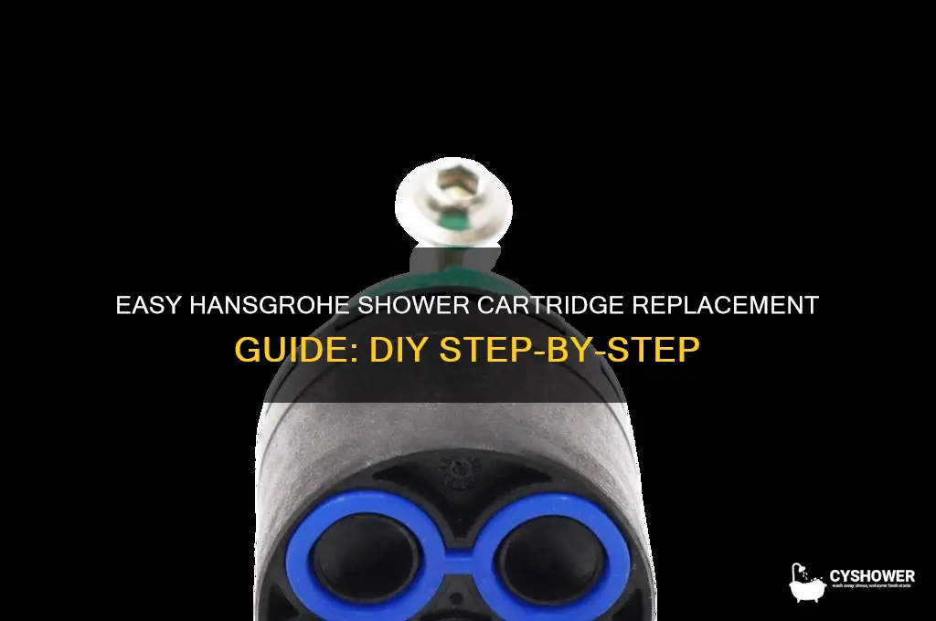 how to replace a hansgrohe shower cartridge