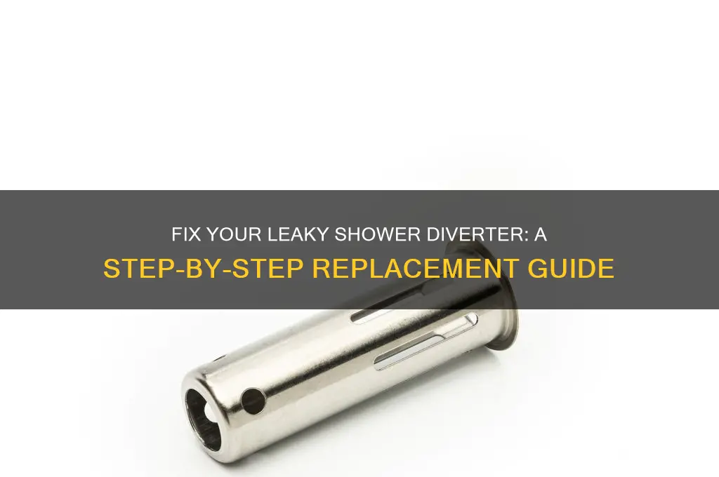 how to replace a leaky shower diverter