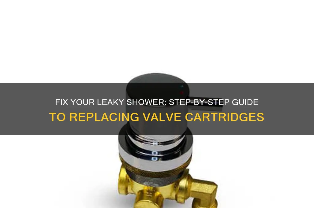 how to replace a leaky shower valve cartridge