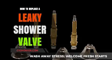 Fixing a Leaky Shower Valve: Step-by-Step Replacement Guide