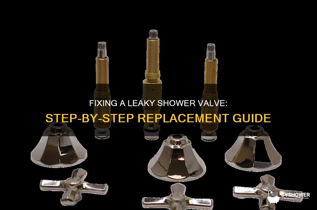 how to replace a leaky shower valve