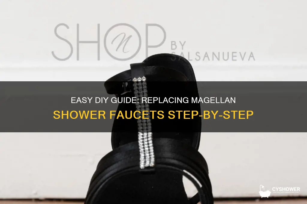 how to replace a magellan shower faucets