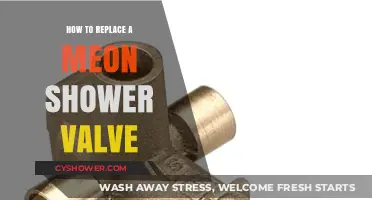 Step-by-Step Guide to Replacing a Moen Shower Valve Easily