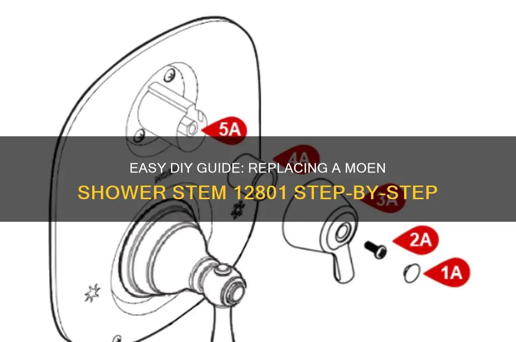 how to replace a moem shower stem 12801