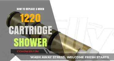 Easy DIY Guide: Replacing a Moen 1220 Shower Cartridge