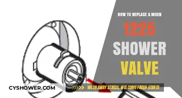 Step-by-Step Guide to Replacing Your Moen 1225 Shower Valve