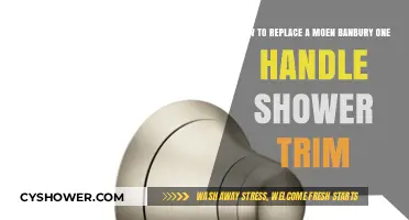 Easy DIY Guide: Replacing Moen Banbury One-Handle Shower Trim