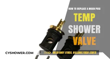 Easy DIY Guide: Replacing a Moen Posi-Temp Shower Valve