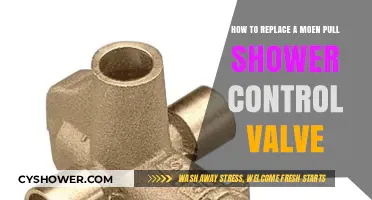 Step-by-Step Guide to Replacing a Moen Pull Shower Control Valve
