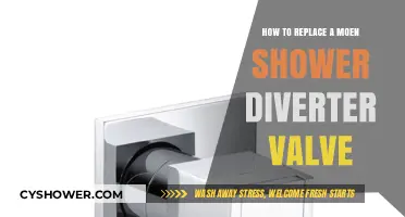 Easy DIY Guide: Replacing a Moen Shower Diverter Valve