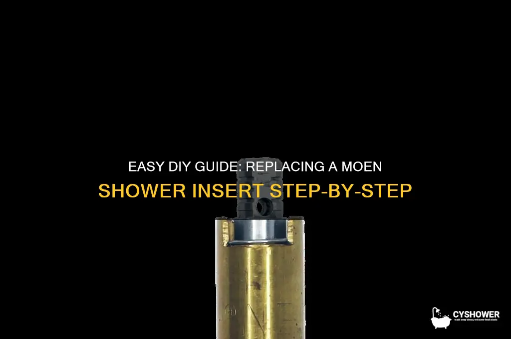 how to replace a moen shower insert