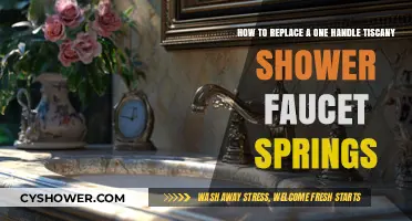 Easy DIY Guide: Replacing Tiscany Shower Faucet Springs in One Handle