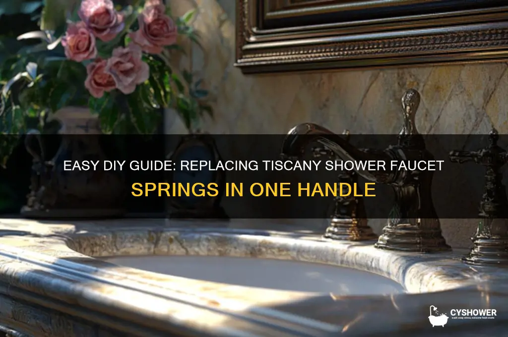 how to replace a one handle tiscany shower faucet springs
