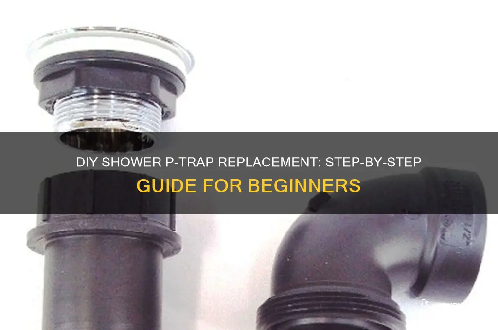 how to replace a p trap for a shower