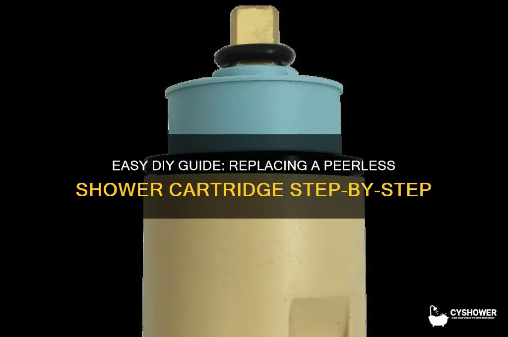 how to replace a peerless shower cartridge